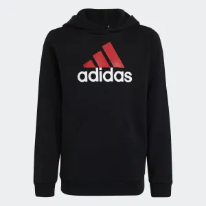 Adidas Kids Essentials Two-Colored Big Logo Cotton Hoodie