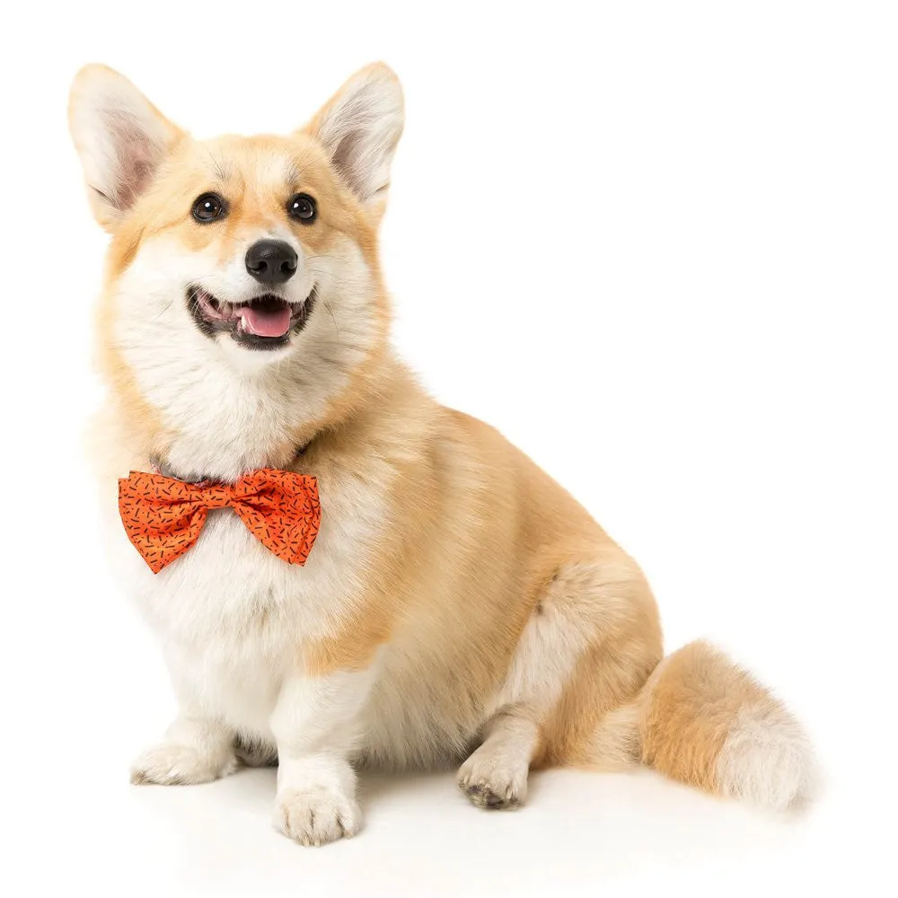 FuzzYard Pet Bow Tie (Orange)