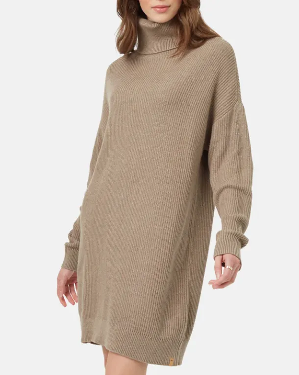 Highline Oversized Turtleneck Sweater Dress