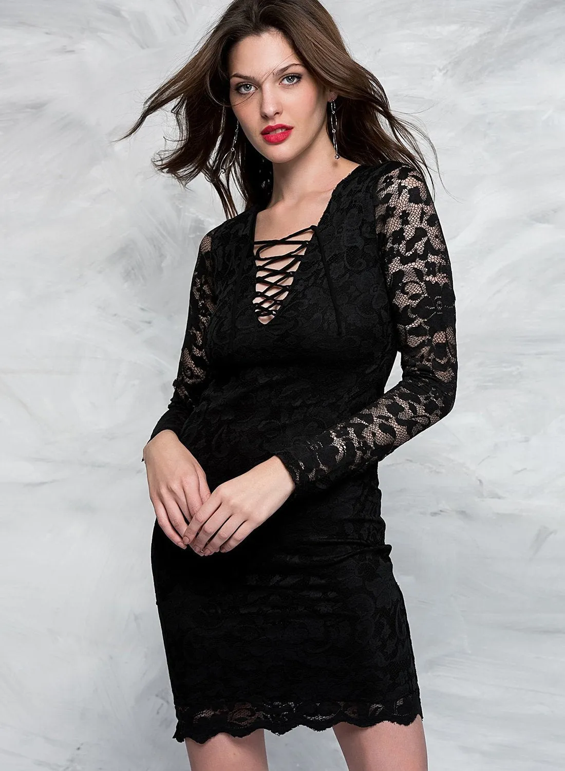 Long Sleeve V Neck Lace Bodycon Dress