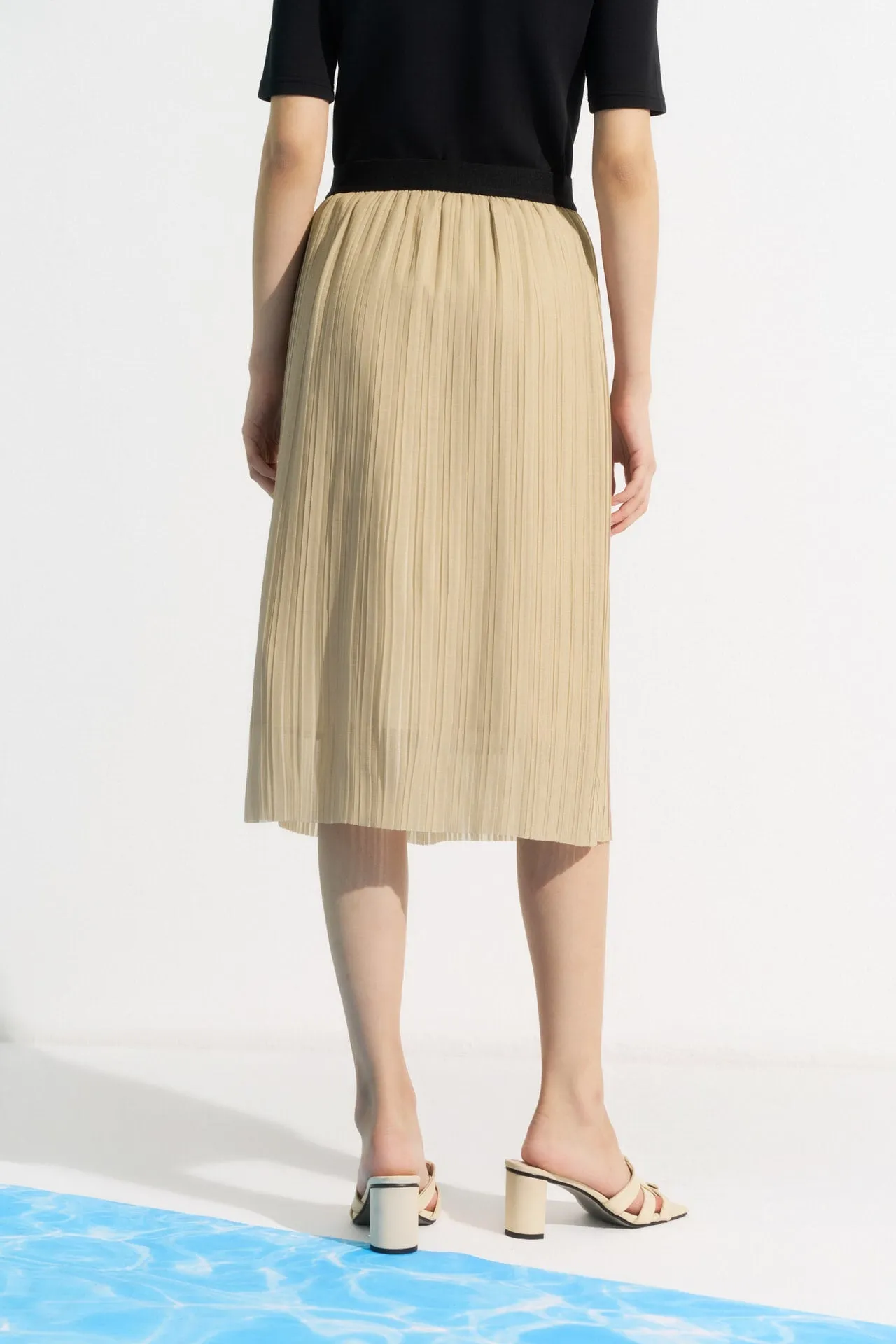 Pleated Flare Skirt