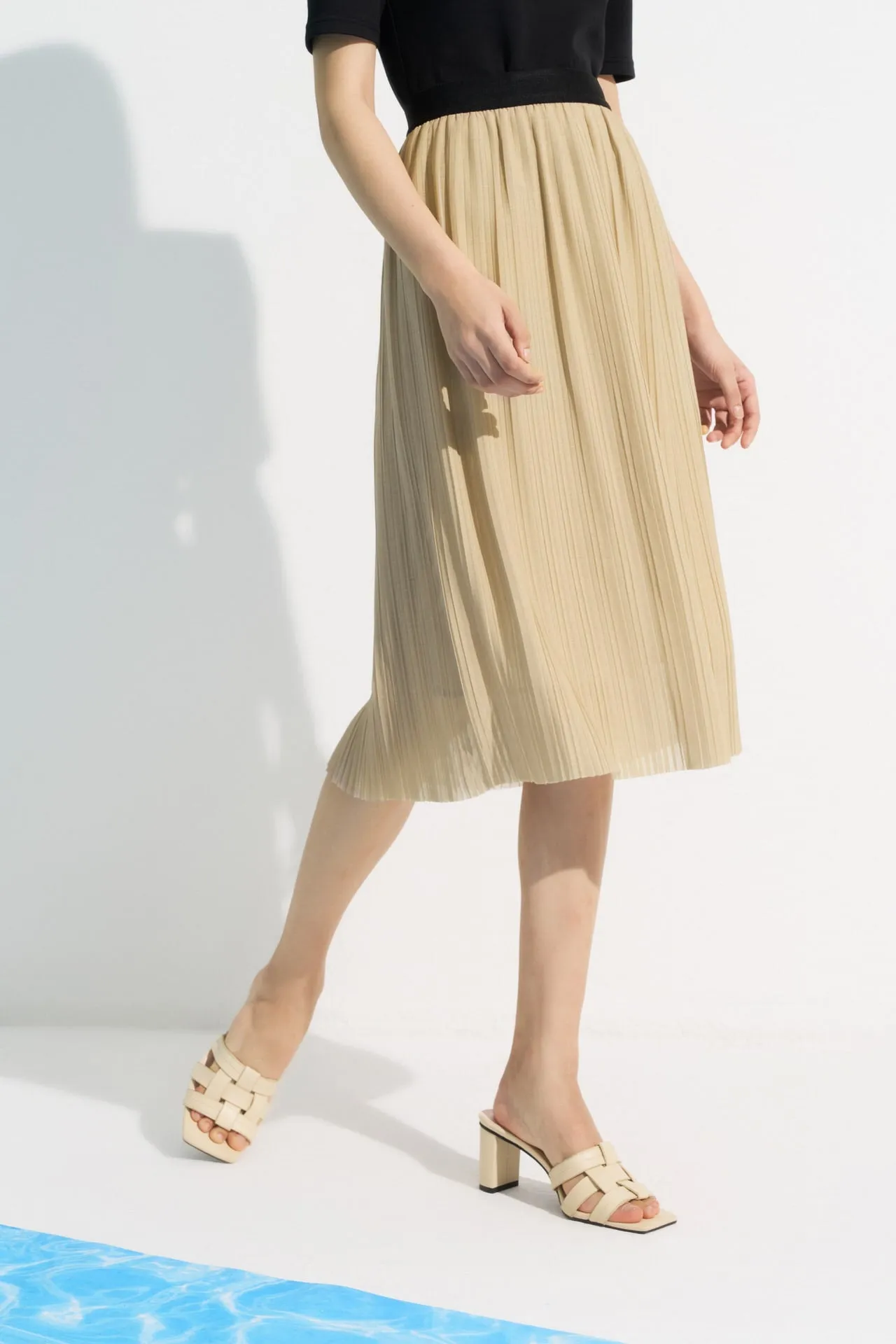 Pleated Flare Skirt