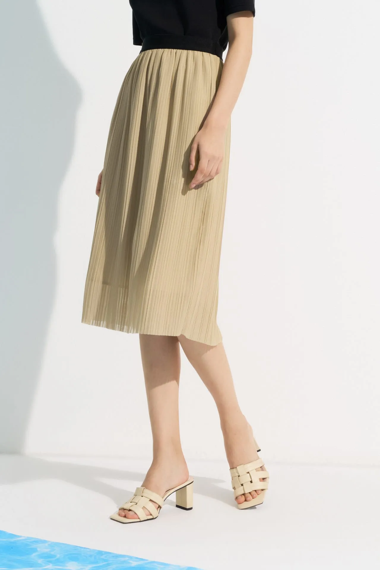 Pleated Flare Skirt