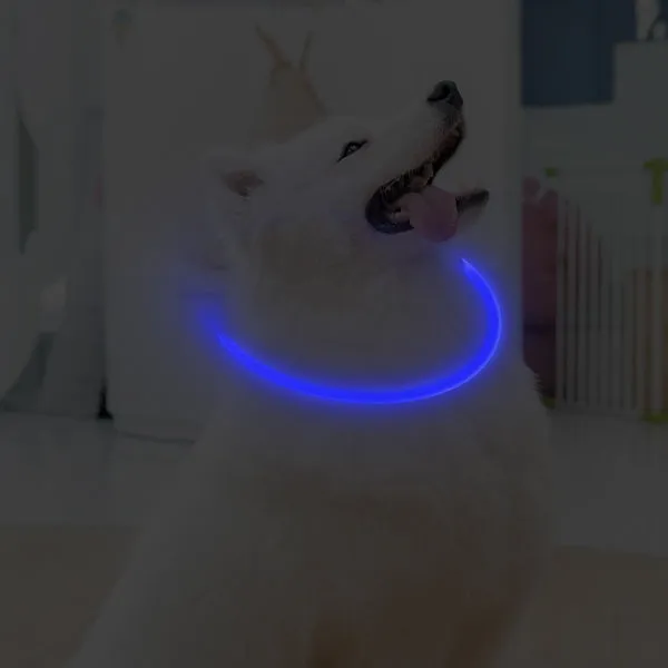 Rechargeable Luminous Dog Safety Collar - Blue