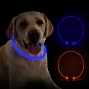 Rechargeable Luminous Dog Safety Collar - Blue