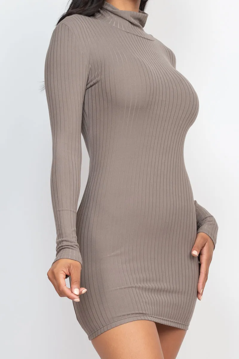 Ribbed Mock Neck Bodycon Mini Dress (CAPELLA)