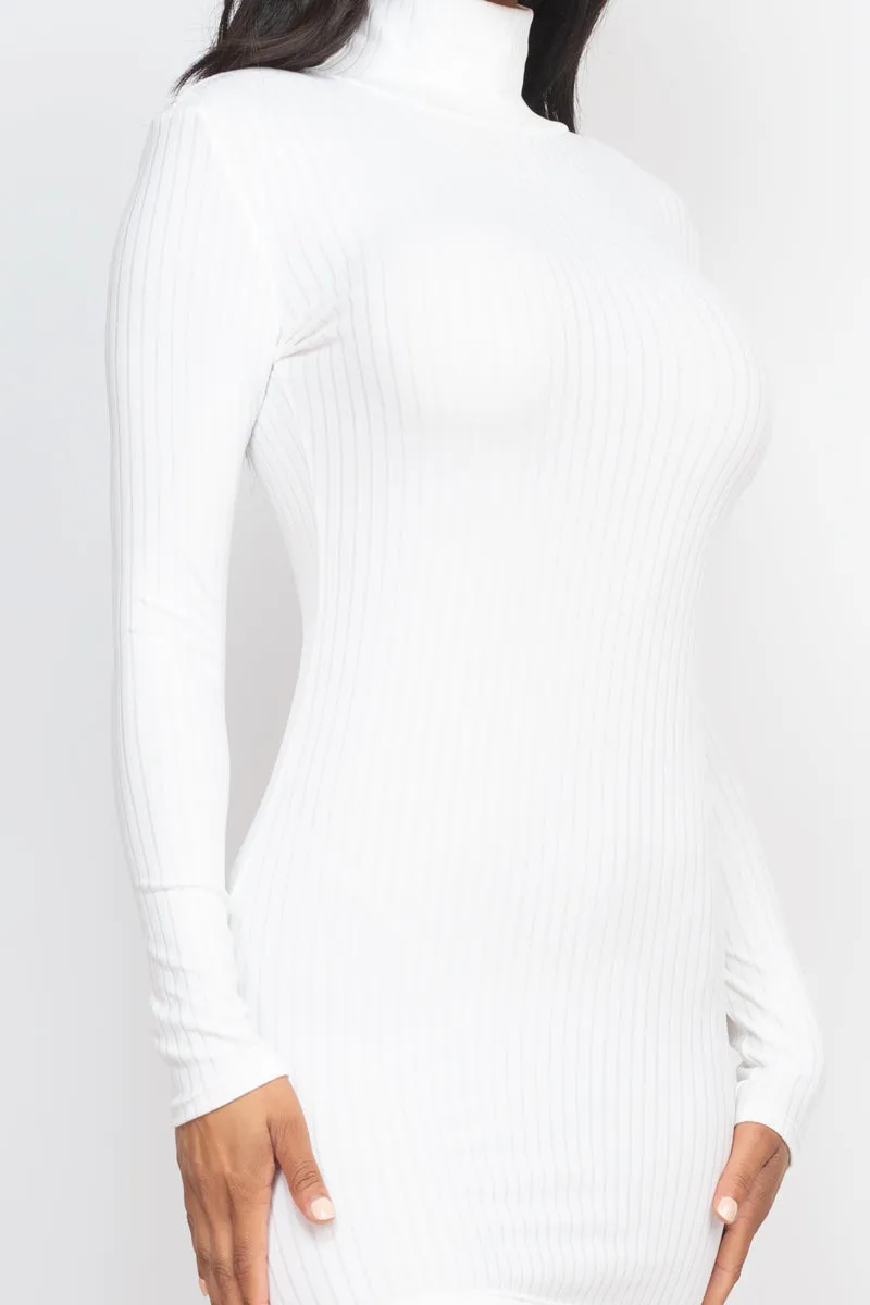 Ribbed Mock Neck Bodycon Mini Dress (CAPELLA)