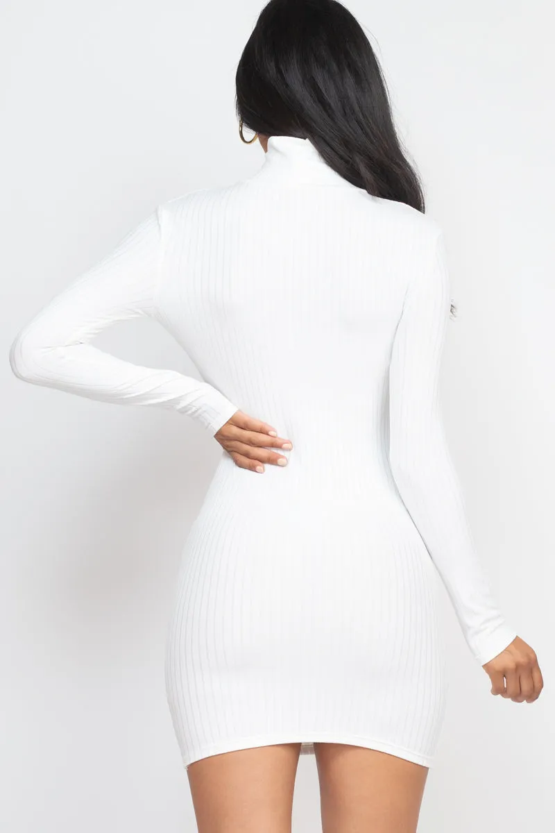 Ribbed Mock Neck Bodycon Mini Dress (CAPELLA)