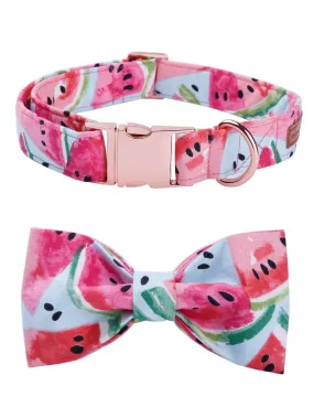 Watermelon Bow, Collar, Leash