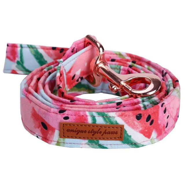 Watermelon Bow, Collar, Leash