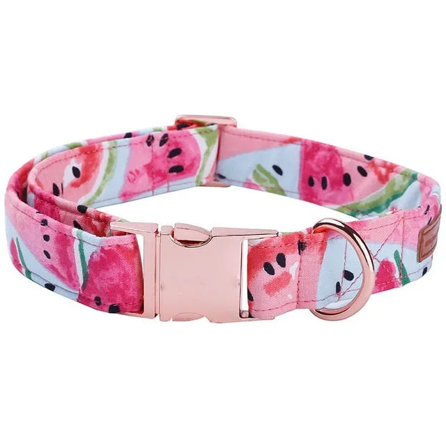 Watermelon Bow, Collar, Leash